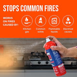 Fortifire F101 Fire Extinguishing Spray for Home - 500g Each | Pack of 3