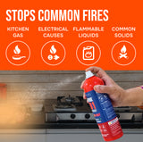 Fortifire F101 Fire Extinguishing Spray for Home - 500g Each | Pack of 2
