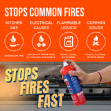 Fortifire F101 Fire Extinguishing Spray for Home - 500g Each | Pack of 3